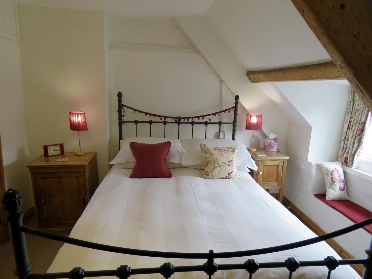 Cyntwell Guest Accommodation 帕兹托 外观 照片